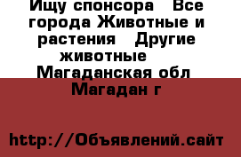 Ищу спонсора - Все города Животные и растения » Другие животные   . Магаданская обл.,Магадан г.